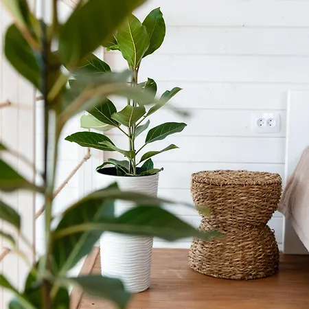 Nebo Shale Jablunycja